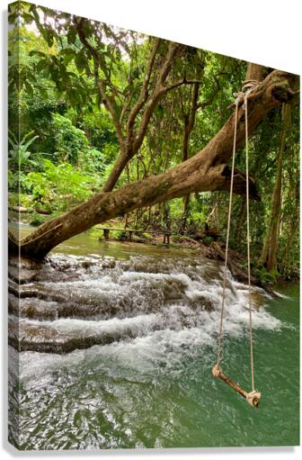 Swing in the Jungle Canvas Print