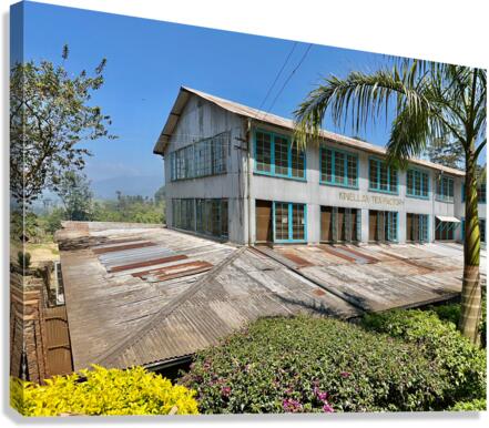 Tea Factory Canvas Print