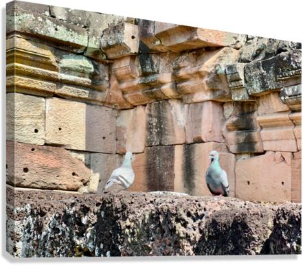 Birds in Historical Site Canvas Print