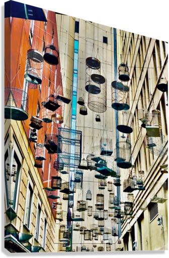 All the Cages Canvas Print