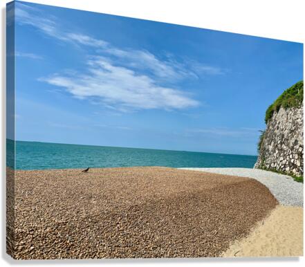 Nice Color Beach Canvas Print