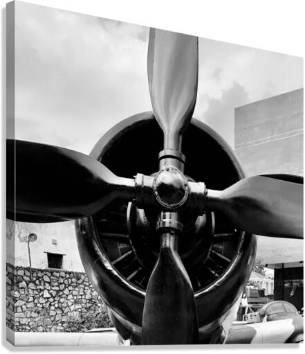 BW Propellers Canvas Print