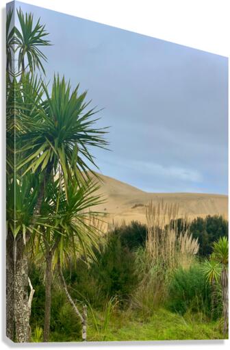 Sand Dunes Ahead Canvas Print