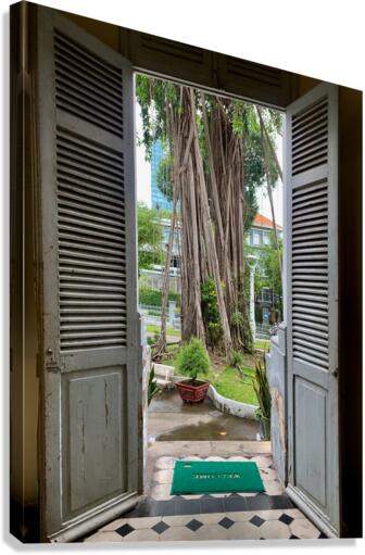 Welcome Mr Tree Canvas Print