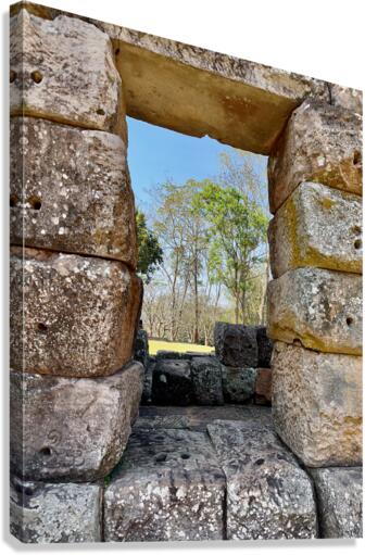 There is a Tree Outside Canvas Print