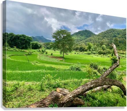 Beautiful Green Scenery Canvas Print