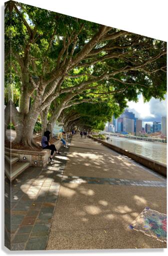Walking Around Brisbane Canvas Print