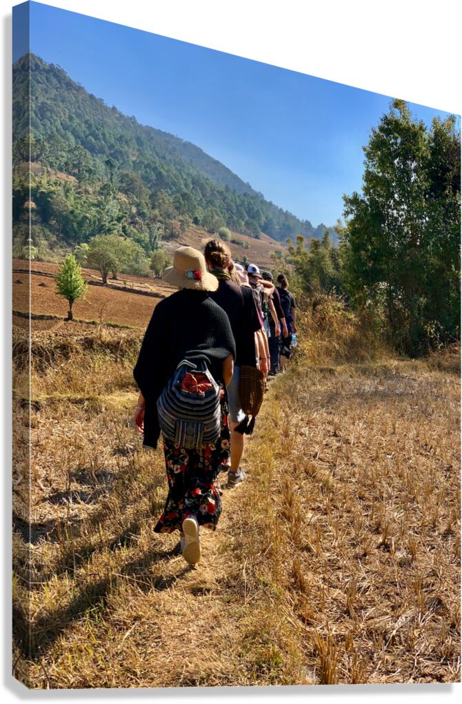 Follow the Path Canvas Print