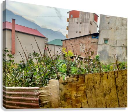 Homemade Fence Canvas Print