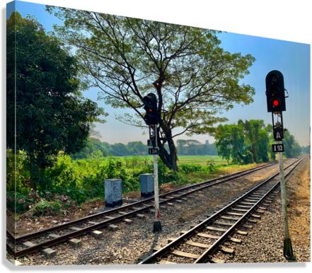 Stop This Train Canvas Print