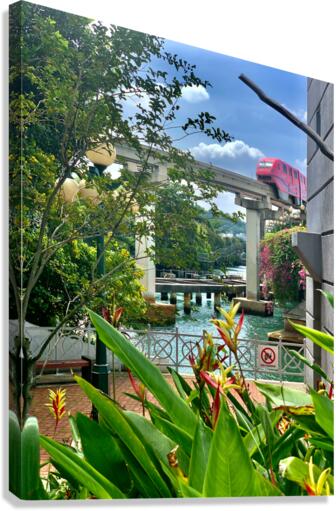 The Pink Train Canvas Print