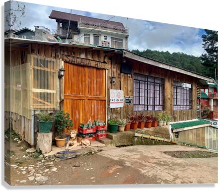 Beautiful Wooden House Canvas Print