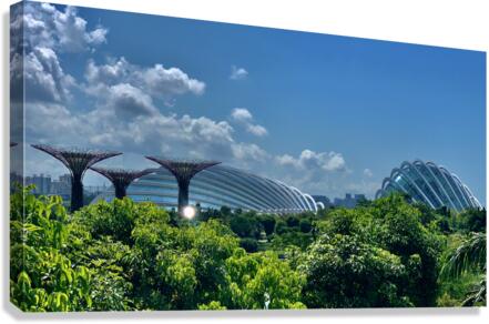 Gardens by the Bay Singapore 1 Canvas Print