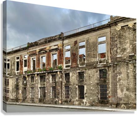 Last Wall Standing Canvas Print