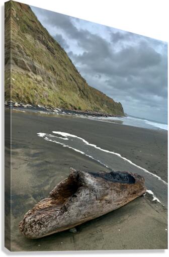 Nice Log on Black Sand Canvas Print
