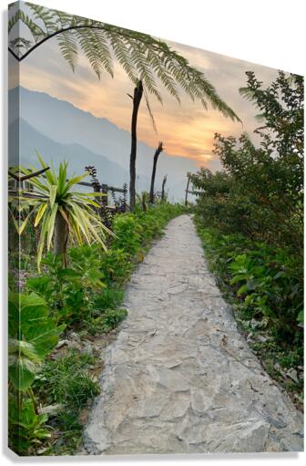 Walking to the Sunset Canvas Print