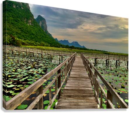 Wooden Walkway Canvas Print
