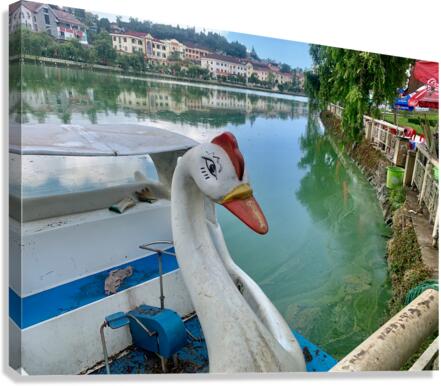 Swan Boat on the Lake Canvas Print