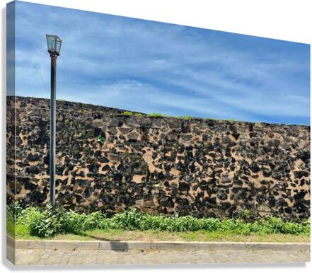 Street Lamp  Wall Canvas Print