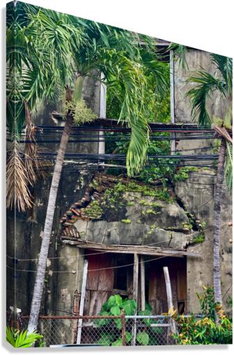Cracking Down Building Canvas Print