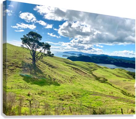 Beautiful Scenery Canvas Print