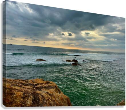 Storm is Coming Canvas Print