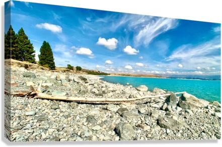 Dead Wood in Front of the Lake Canvas Print