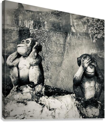 BW Didn t See it Didn t Hear it Monkeys Canvas Print