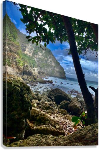 Mysterious Island Bay Canvas Print