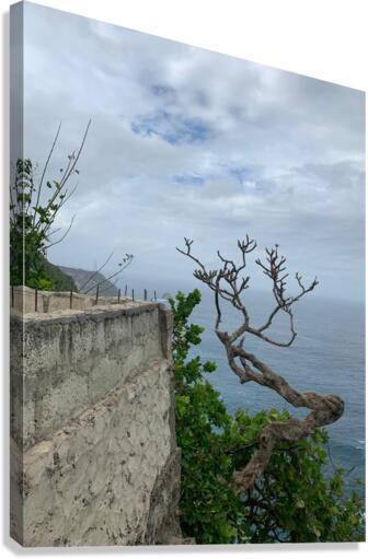 The Tree  The Wall Canvas Print