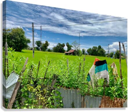 Village House Canvas Print