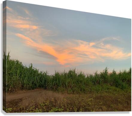 Calming Sky Canvas Print