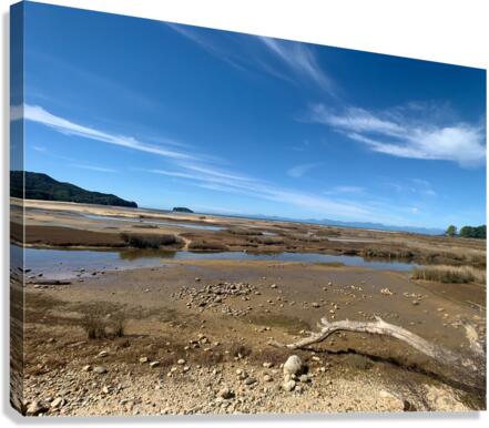 Abel Tasman National Park New Zealand 1 Canvas Print