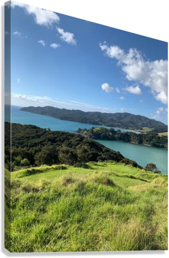 Viewpoint in Rangikapiti Pa Historic Reserve New Canvas Print