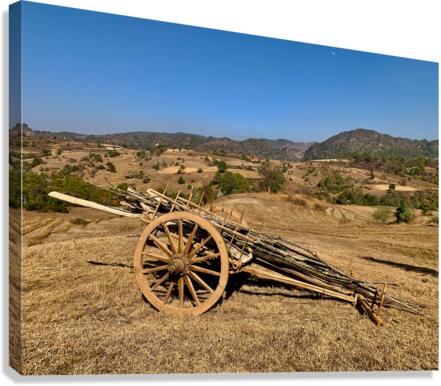 Old Farm Wagon Canvas Print