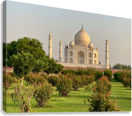 The Taj Mahal Collection 7 Canvas Print