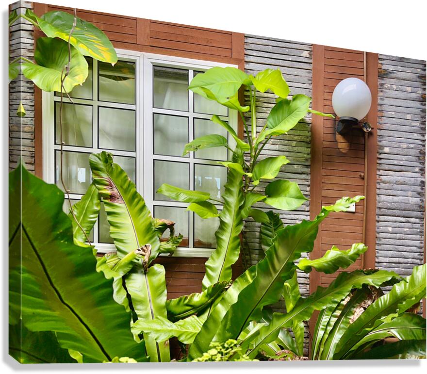 Maboul Island 19 Canvas Print