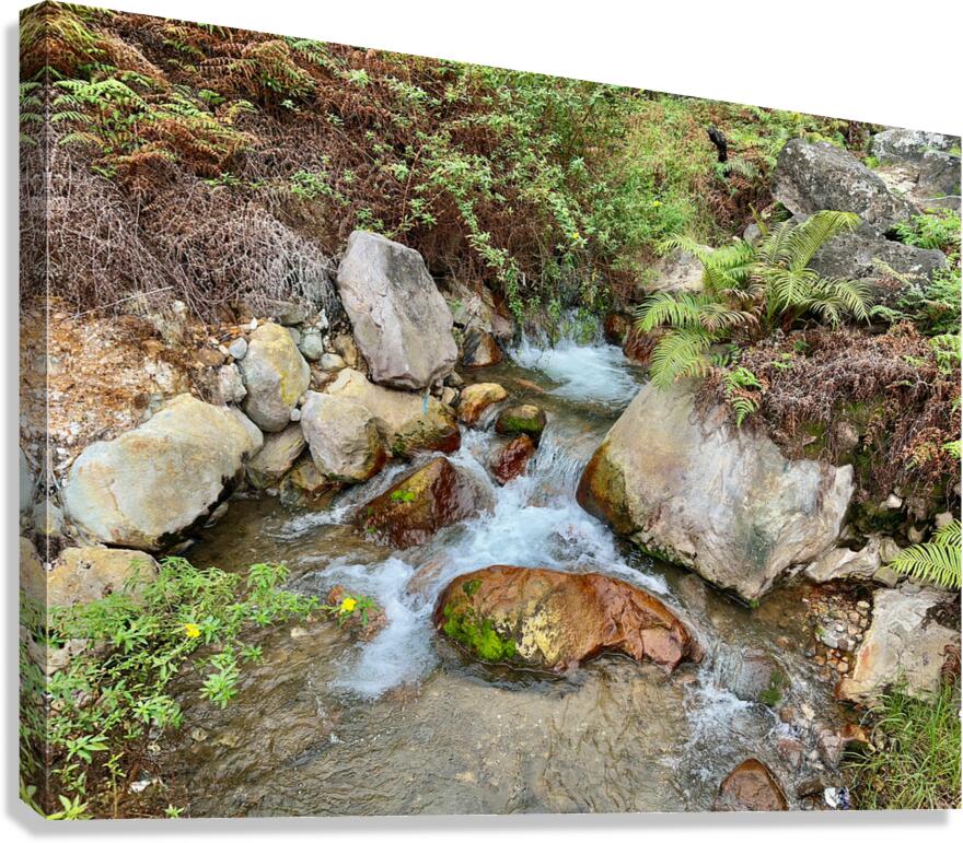 Cibuni Rengganis Crater Java Indonesia 2 Canvas Print