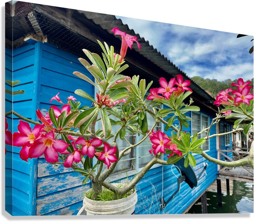 Sim Sim Traditional Floating Village in Sandakan 9 Canvas Print
