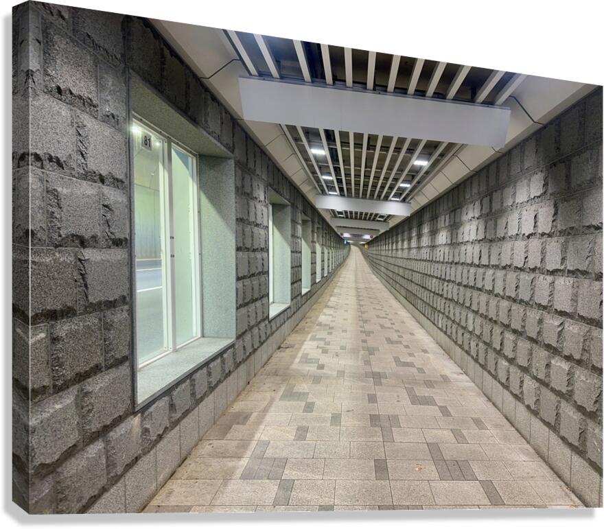 The Fancy Tunnel Seoul Korea Canvas Print