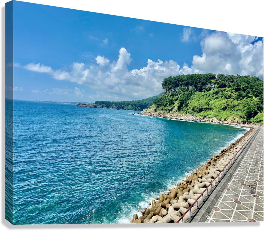 Seogwipo Jeju South Korea 7 Canvas Print