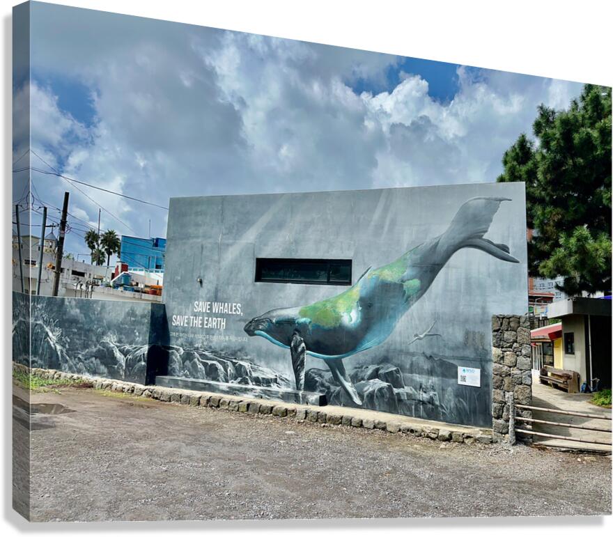 Seogwipo Jeju South Korea 2 Canvas Print