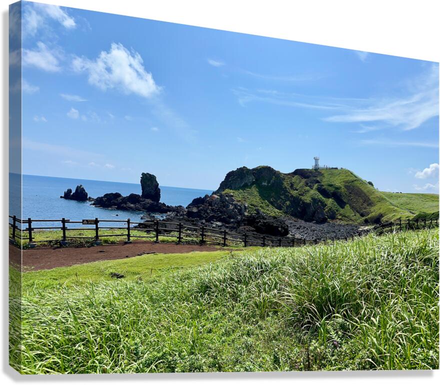 Seopjikoji Jeju South Korea 4 Canvas Print