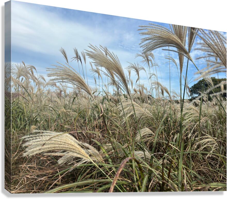 Stone Park Jeju South Korea 1 Canvas Print