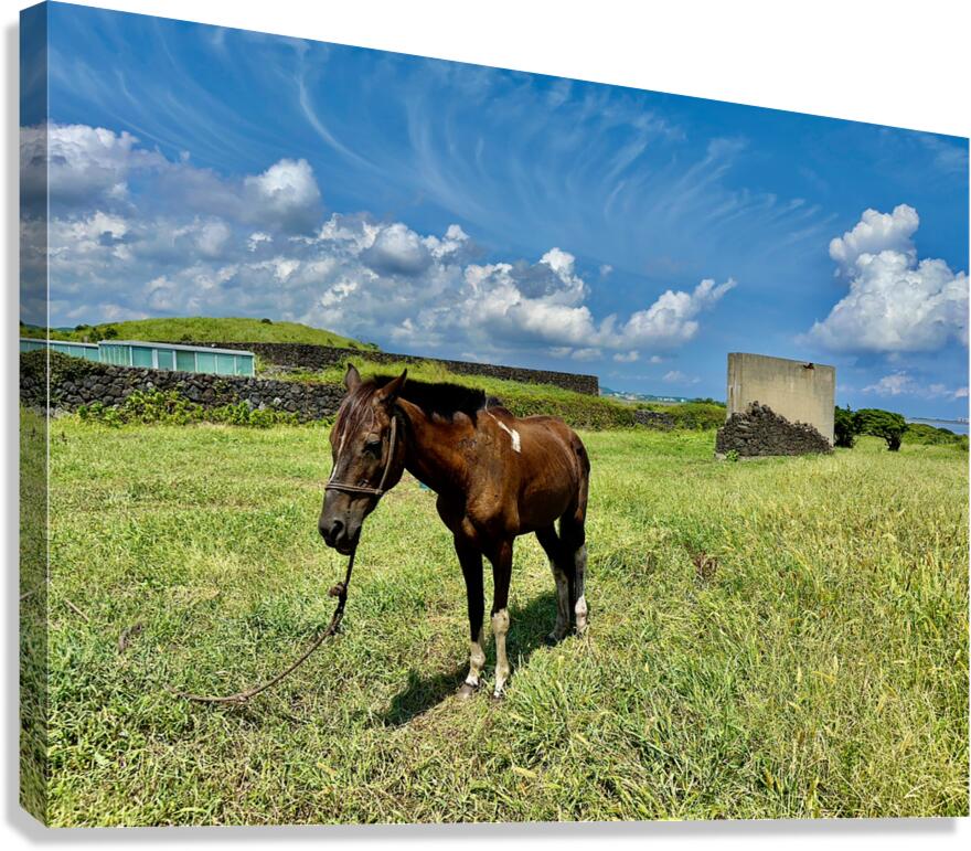 Seopjikoji Jeju South Korea 3 Canvas Print