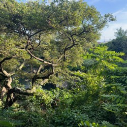 Around Jeju City South Korea 8