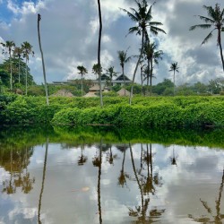 Bali Reflections