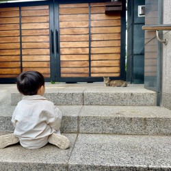Bukchon Hanok Village Seoul Korea 9