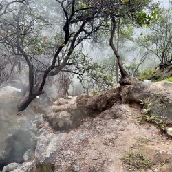 Cibuni Rengganis Crater Java Indonesia 6