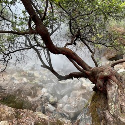 Cibuni Rengganis Crater Java Indonesia 7